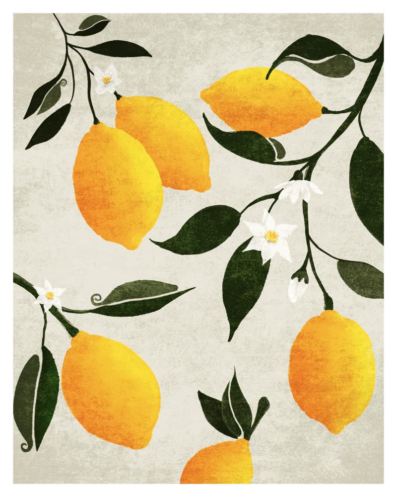 Citrus Symphony by Emel Tunaboylu — canvas wall art