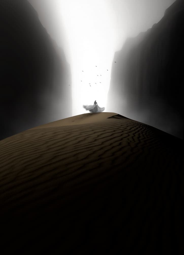 Desert Light Journey by NingYun Ye — canvas wall art