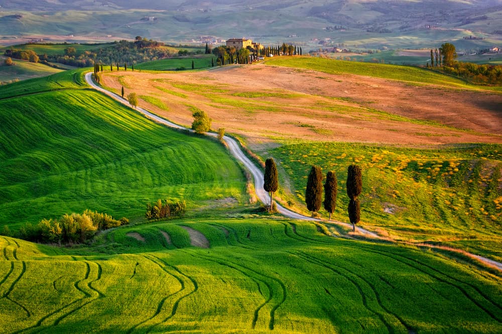 Golden Tuscan Landscape by Sebastian Prioteasa — canvas wall art