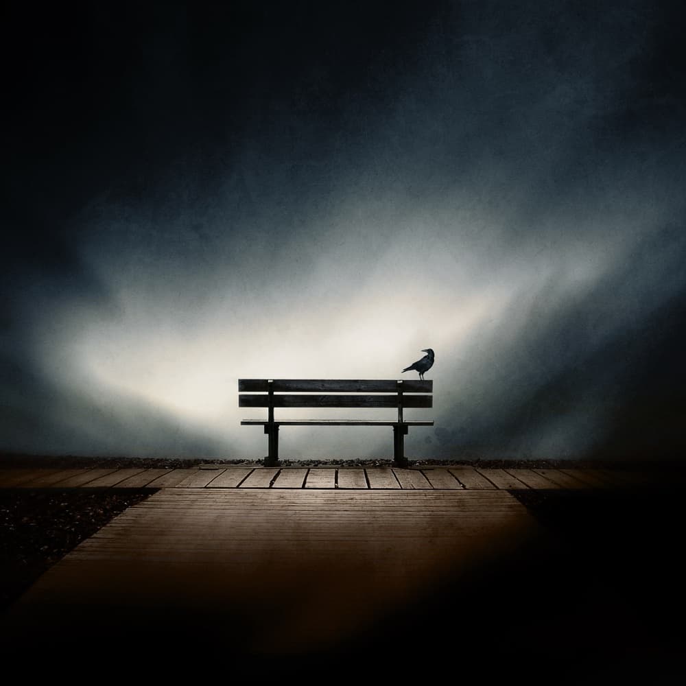 Lone Crow On Bench by Sebastien DEL GROSSO — canvas wall art