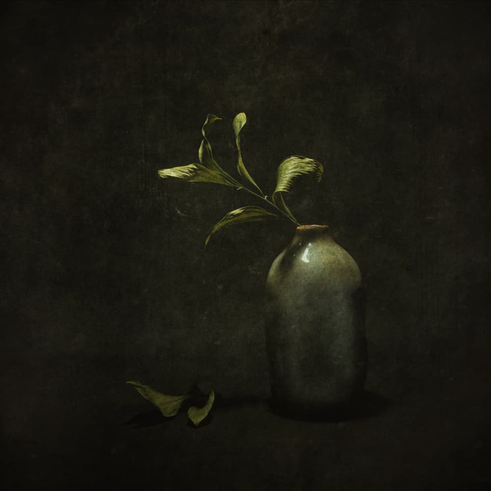 Moody Botanical Still Life by Cicek Kiral — canvas wall art