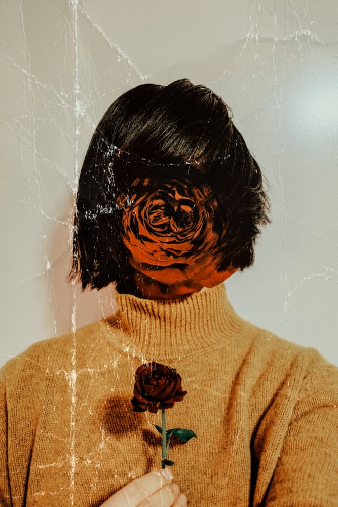 Surreal Rose Portrait by Midoriselfphoto — canvas wall art