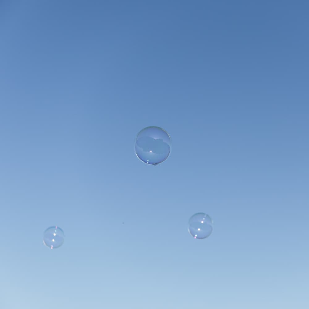 Floating Soap Bubbles by Lynann Colligan — canvas wall art