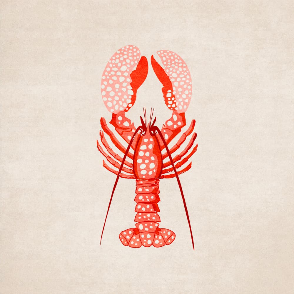 Spotted Lobster Elegance by Emel Tunaboylu — canvas wall art