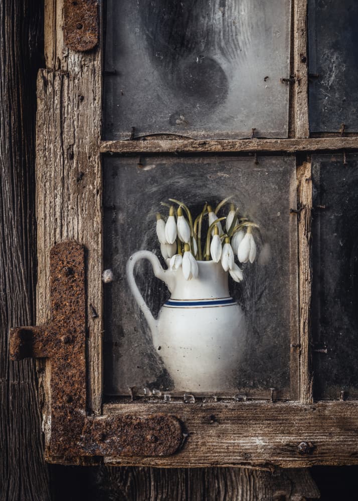 Snowdrops Pitcher Window by Normunds Kaprano — canvas wall art