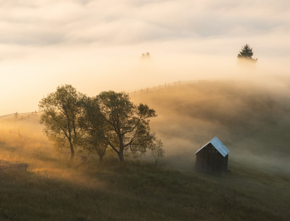 Misty Morning Barn by Alexandru Ionut Coman — canvas wall art
