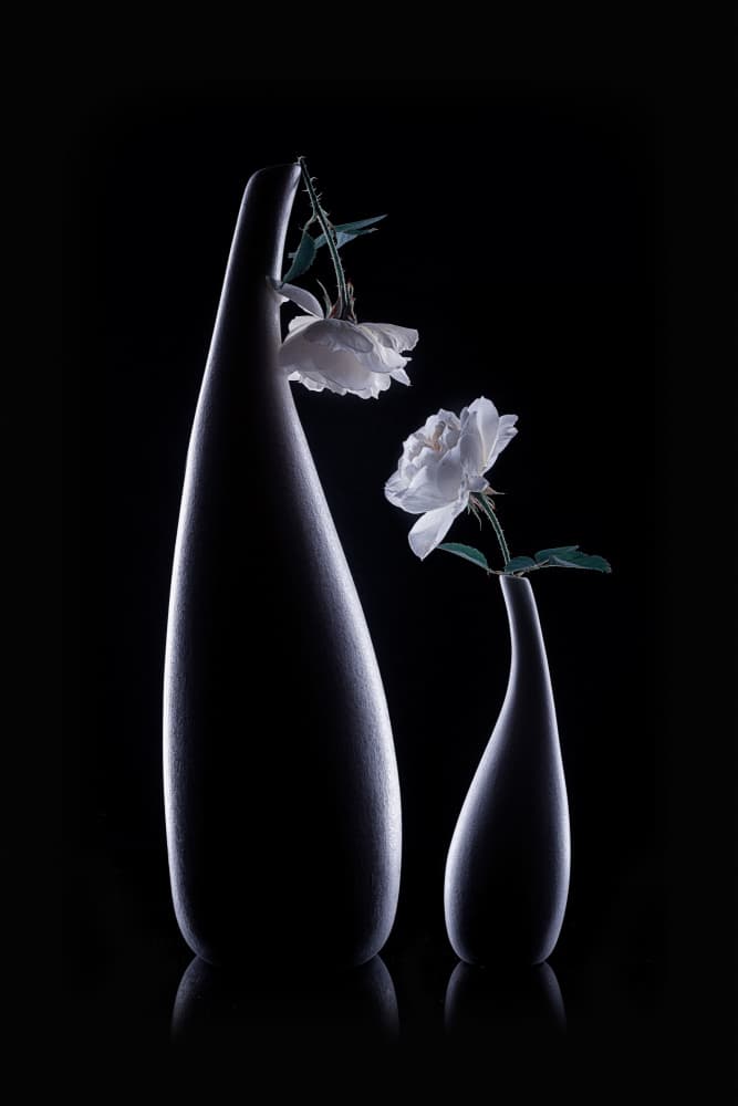 Shadow Vases White Roses by Lydia Jacobs — canvas wall art