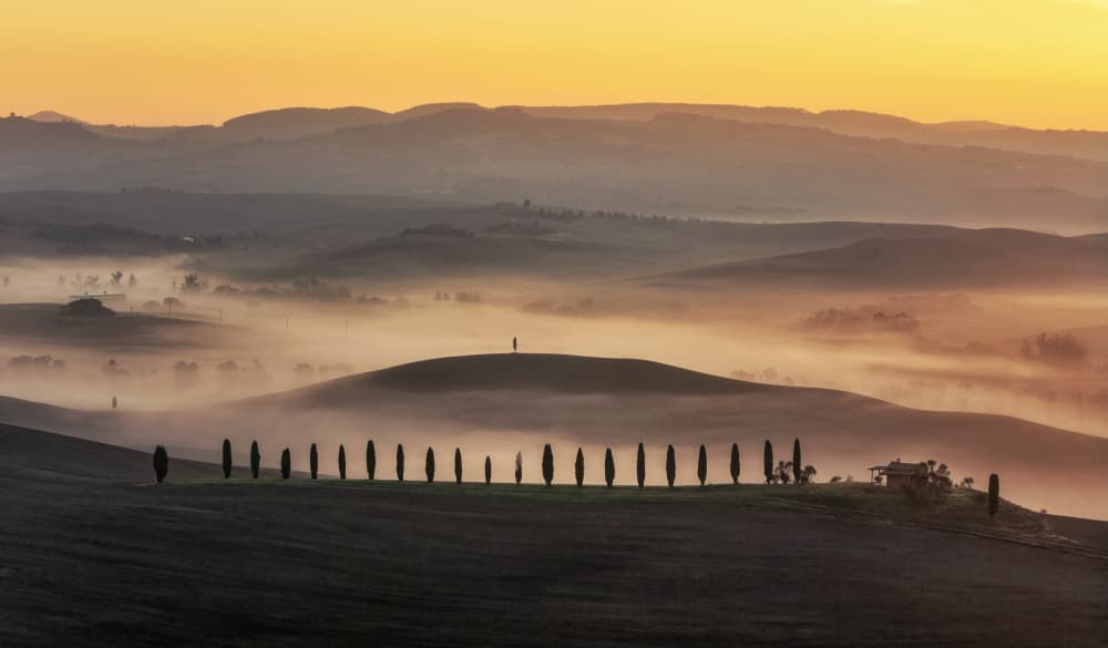 Misty Tuscan Dawn by Chong Q. Wu — canvas wall art