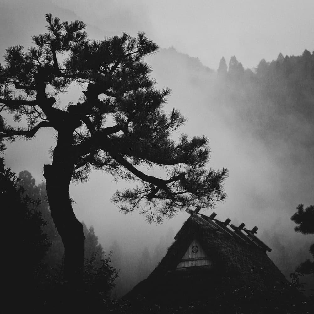 Misty Mountain Homestead by Tsuneya Fujii — canvas wall art