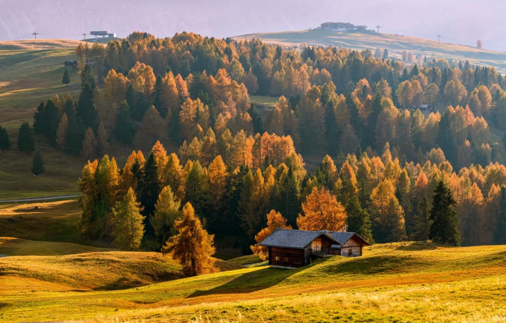 Golden Autumn Mountain Cabin by Ariel Ling — canvas wall art