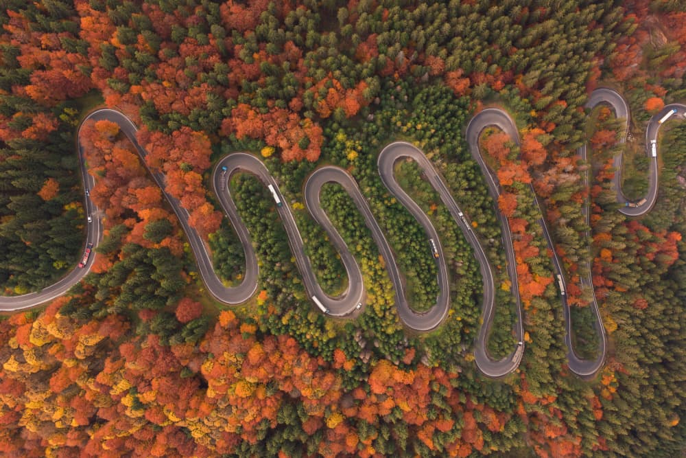 Vibrant Autumn Mountain Road by Alexandru Ionut Coman — canvas wall art