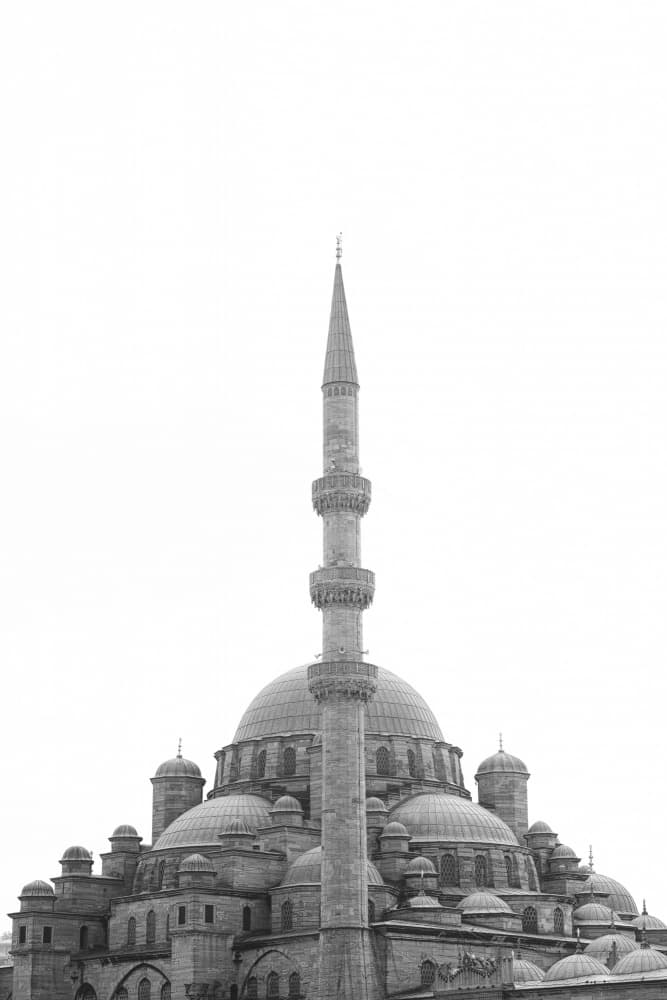 Historic Istanbul Mosque by engin akyurt — canvas wall art