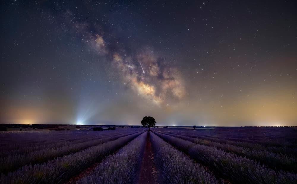 Milky Way Lavender Night by Juan Luis Seco — canvas wall art