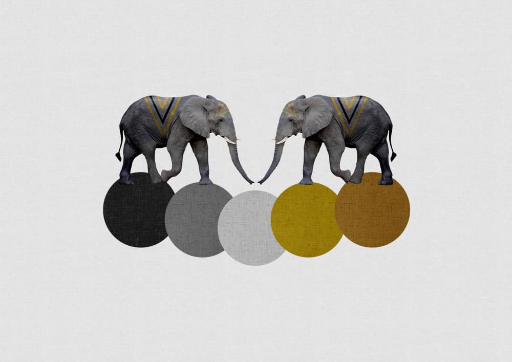 Modern Elephant Color Palette by Orara Studio — canvas wall art