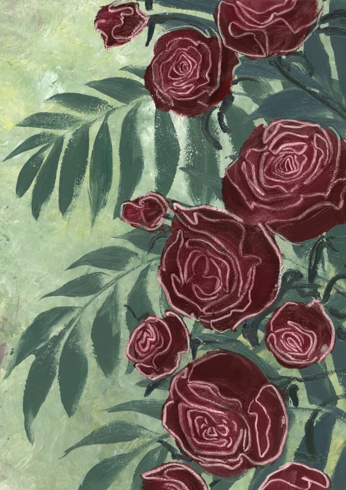 Dark Red Roses by Rosana Laiz Blursbyai — canvas wall art
