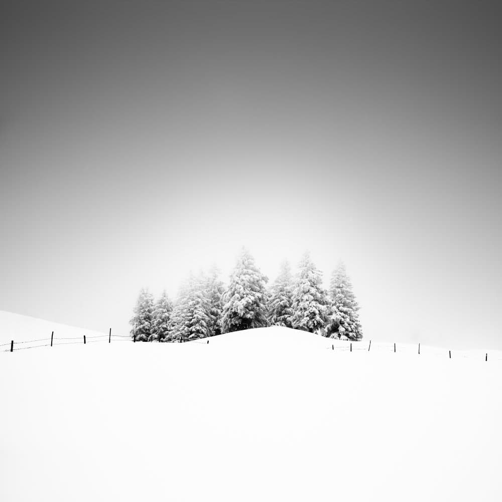 Minimalist Winter Landscape by Alexej Schulz — canvas wall art