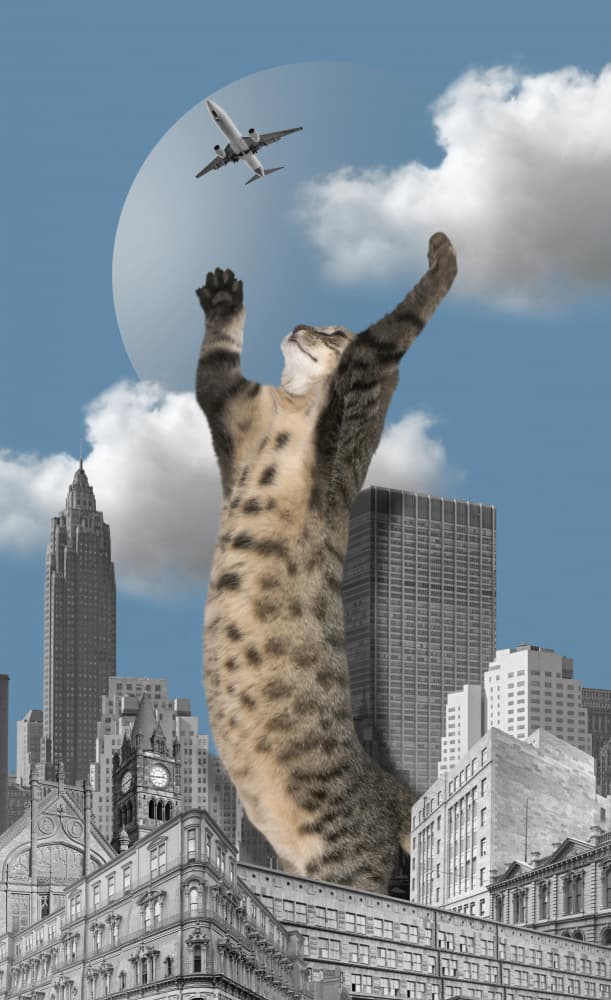 Giant Cat Reaches Airplane by Marja van den Hurk — canvas wall art