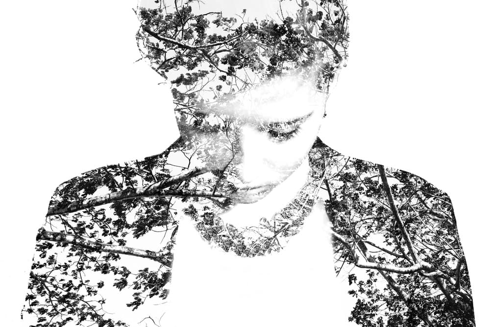Thoughtful Nature Portrait by Piera Polo — canvas wall art