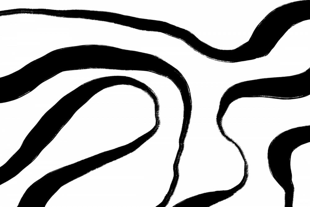 Flowing Zebra-Like Stripes by uplusmestudio — canvas wall art