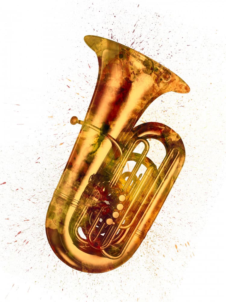Textured Brass Tuba by Michael Tompsett — canvas wall art