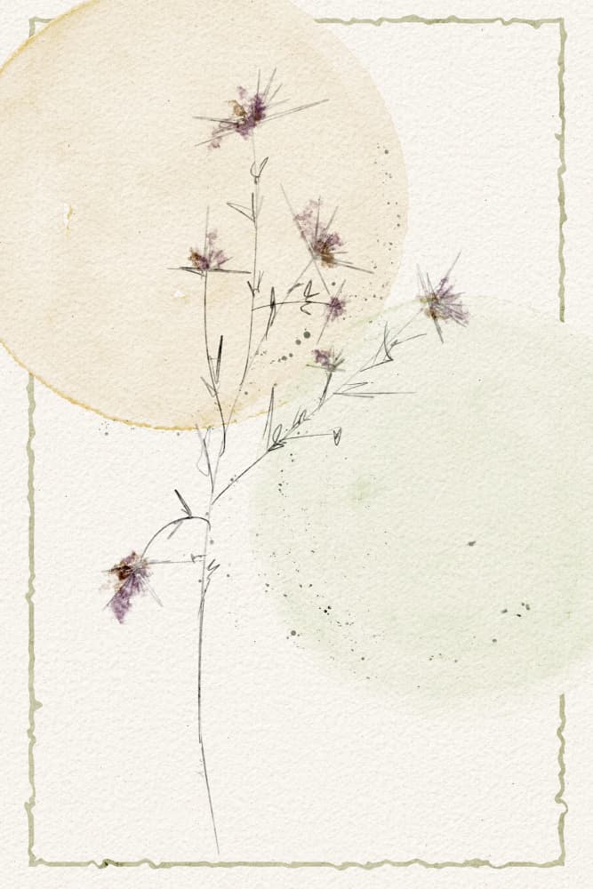 Delicate Botanical Circles by Ankie Kooi — canvas wall art