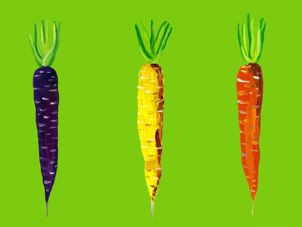 Vibrant Garden Carrots by Alice Straker — canvas wall art