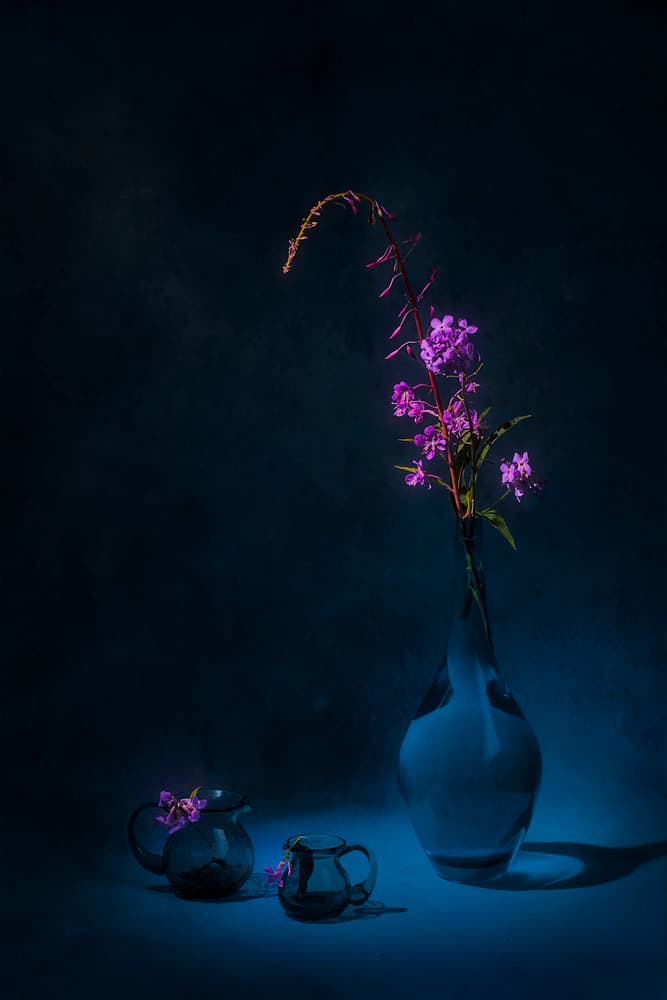 Moody Fireweed Still Life by Lydia Jacobs — canvas wall art