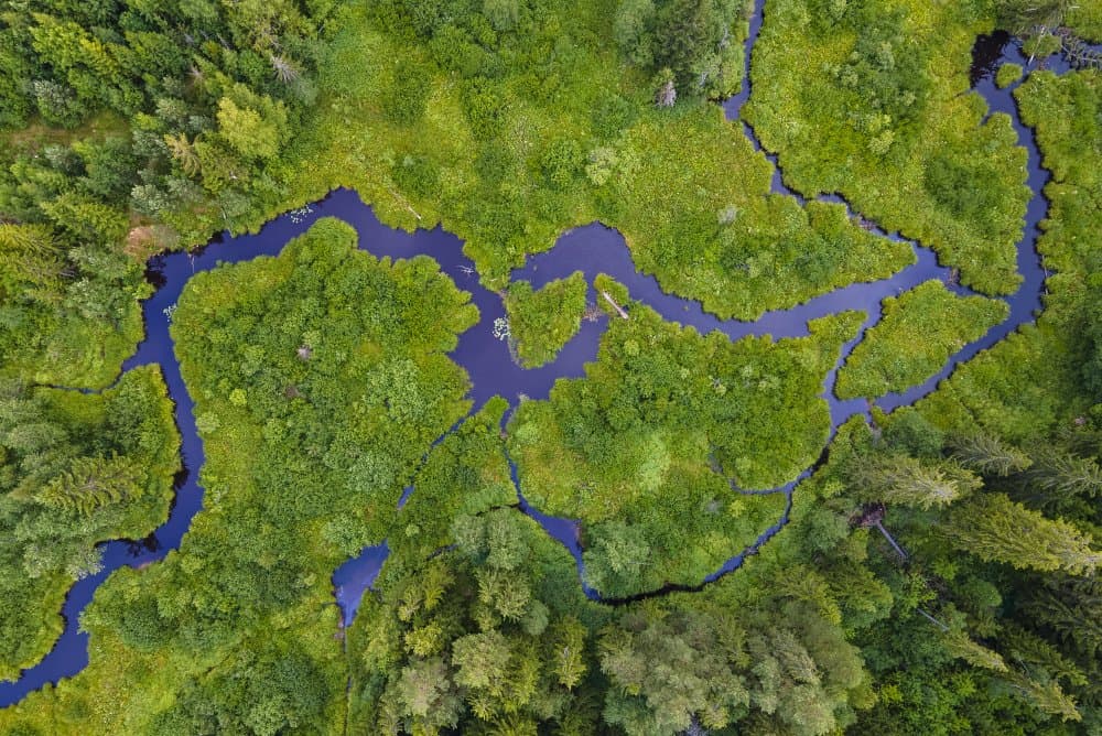 Winding River Aerial View by Alexander Bondarenko — canvas wall art