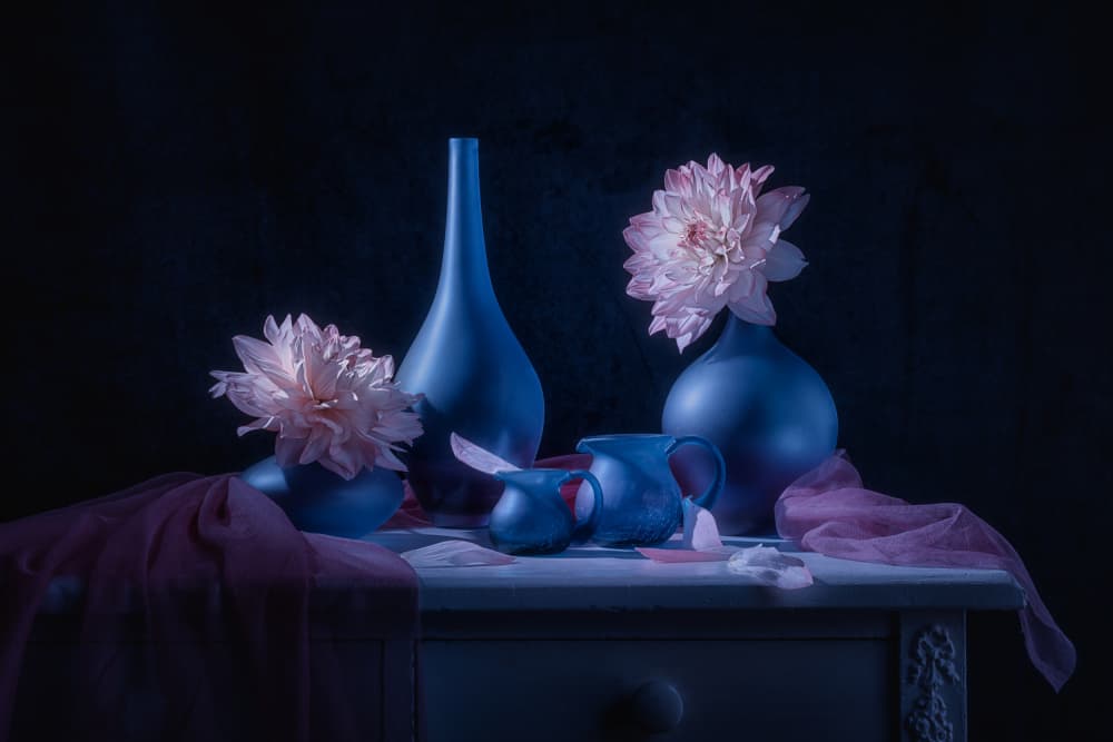 Moody Blue Dahlias by Lydia Jacobs — canvas wall art