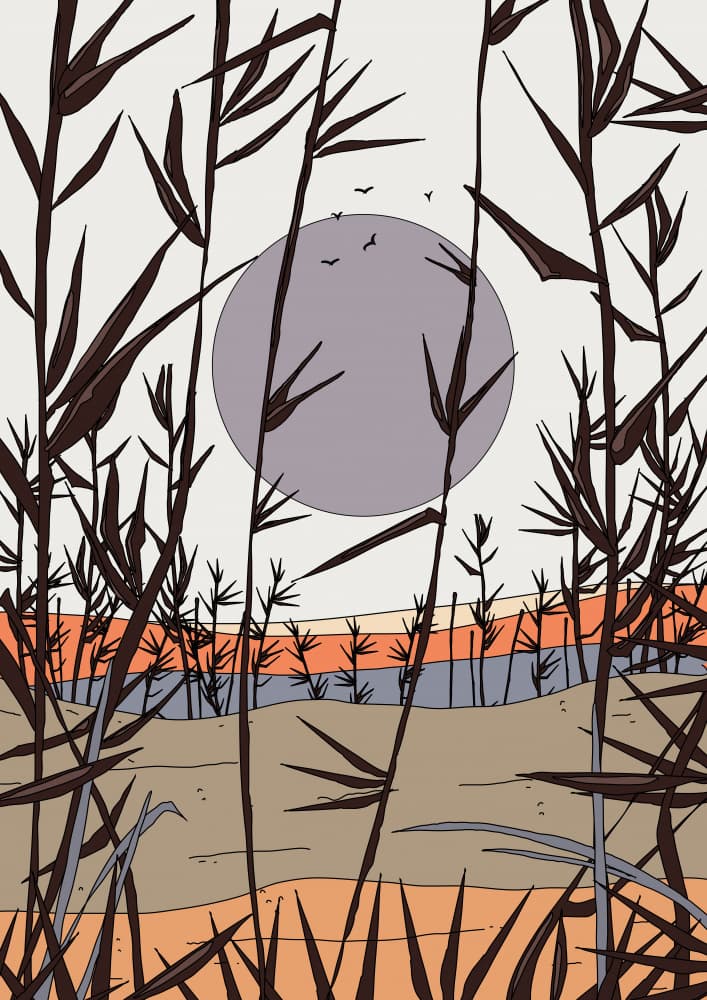 Serene Marsh Moon by Nicholas — canvas wall art