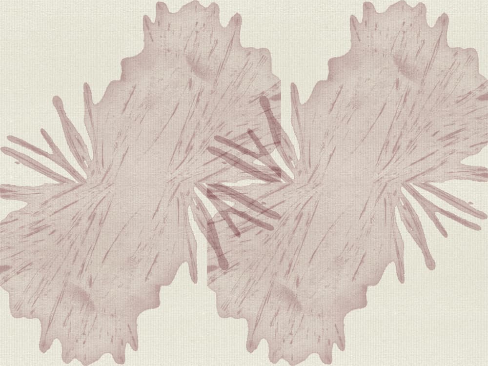 Soft Mauve Organic Shapes by Dina Dankers — canvas wall art