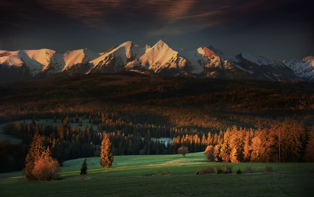 Golden Mountain Dawn by paralaxa — canvas wall art