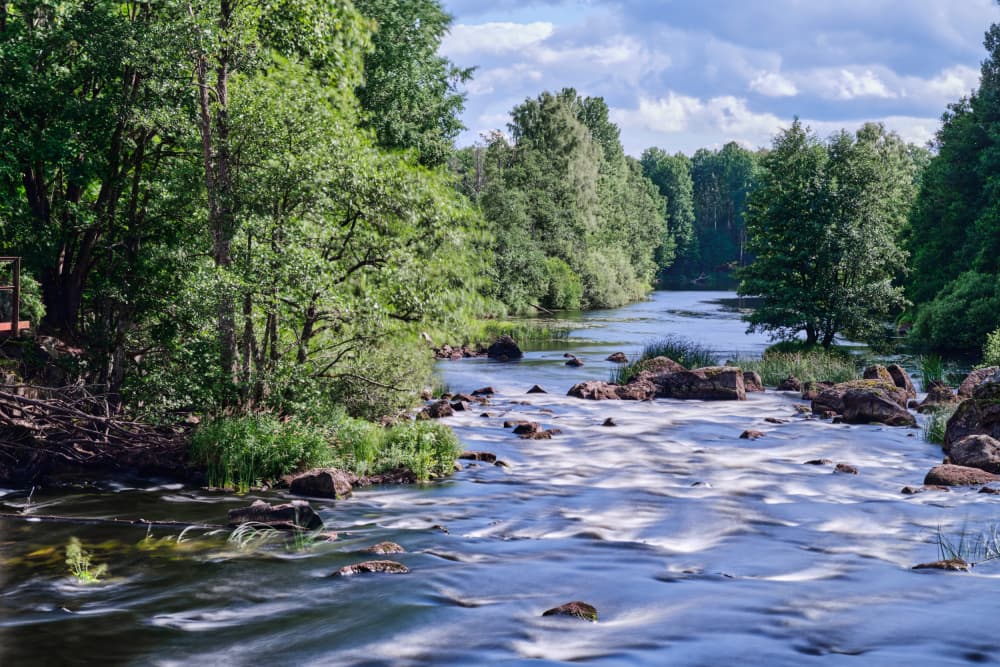 Flowing Forest River by Geertjan Plooijer — canvas wall art