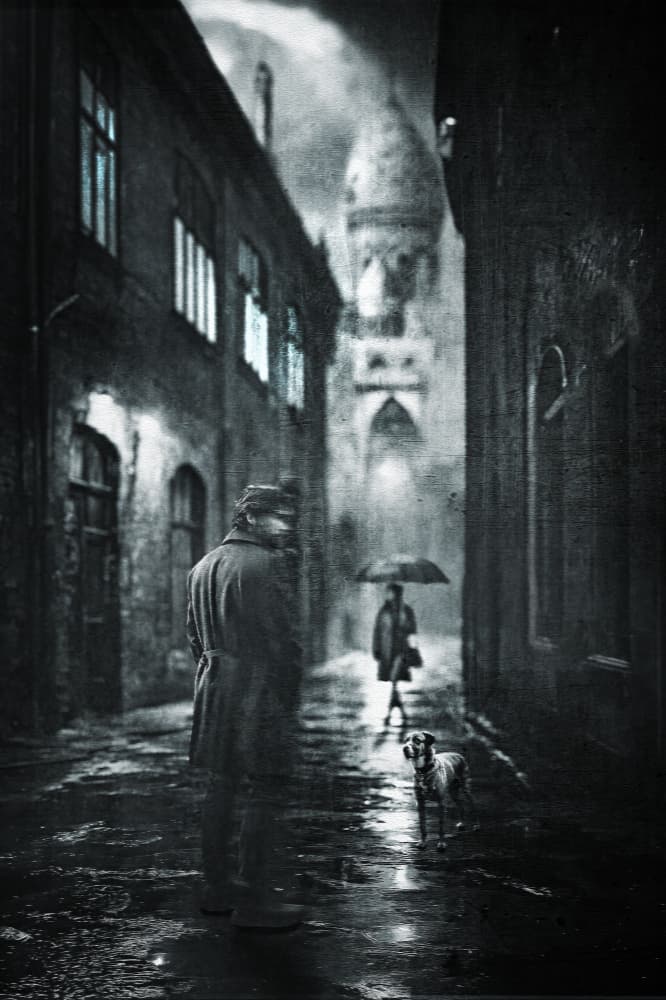 Man Dog Rainy Night by Amer Jassim — canvas wall art