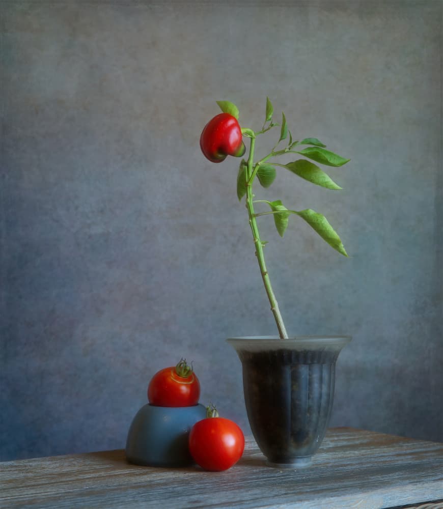 Red Pepper Still Life by Fangping Zhou — canvas wall art