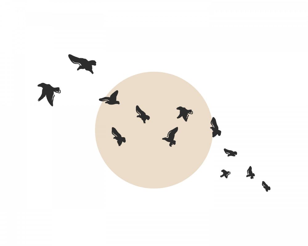 Flock by KsanaKalpa — canvas wall art