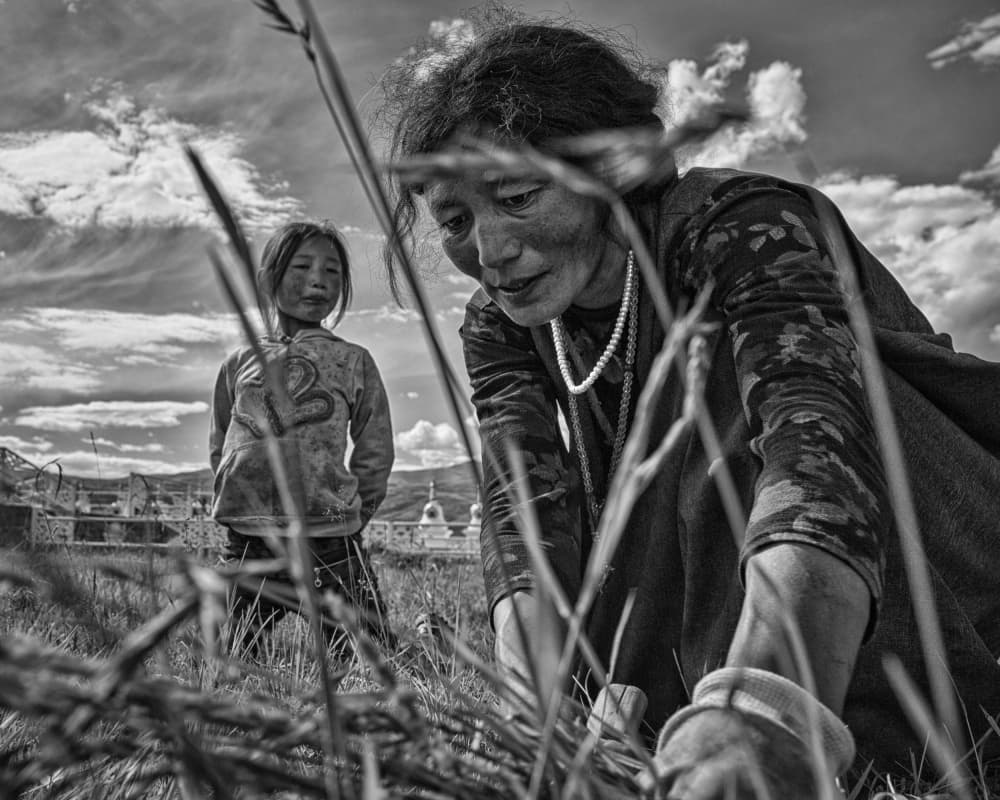 Woman and Child Harvesting by YouduTian(田有杜) — canvas wall art
