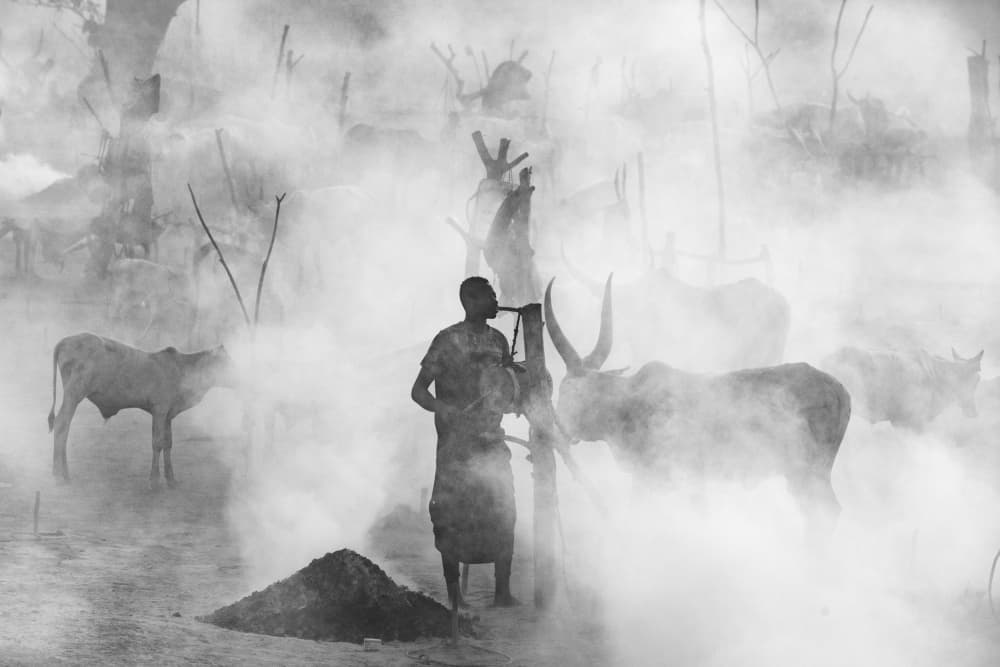 Smoky African Cattle Herder by Trevor Cole — canvas wall art