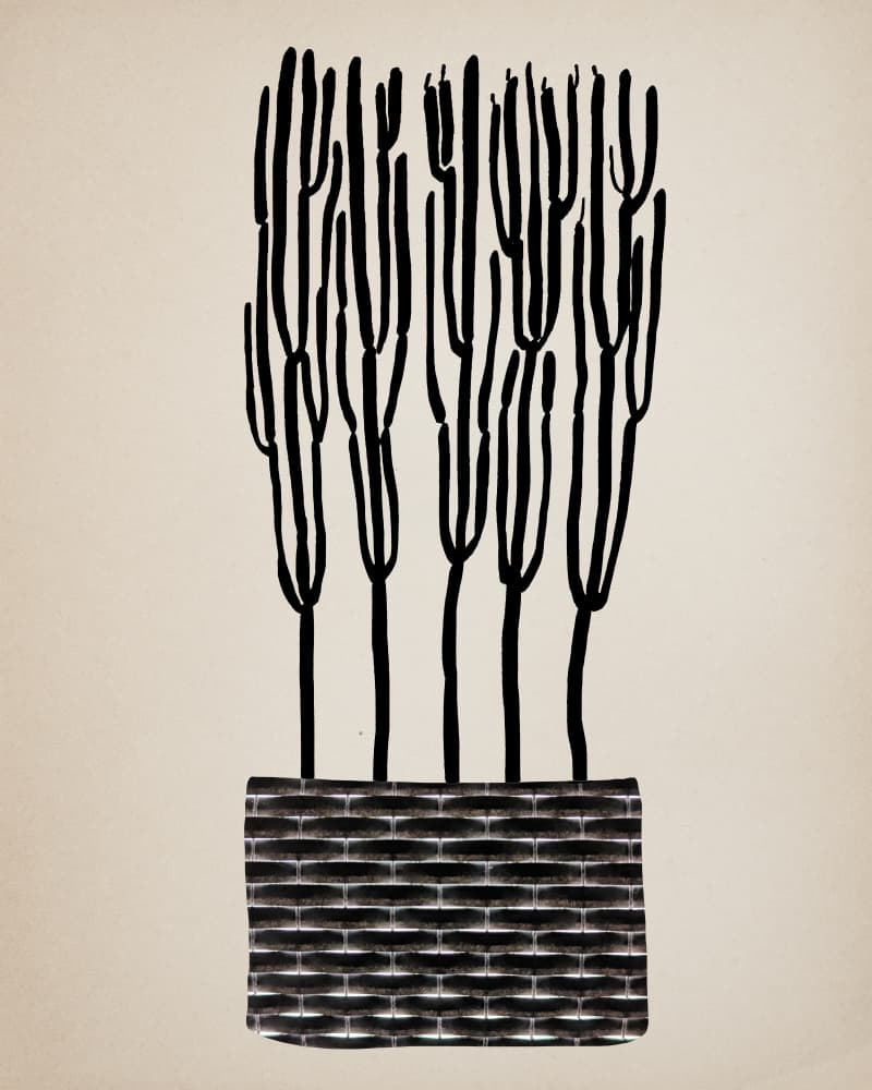 Minimal Potted Cacti by Diana Jahns — canvas wall art