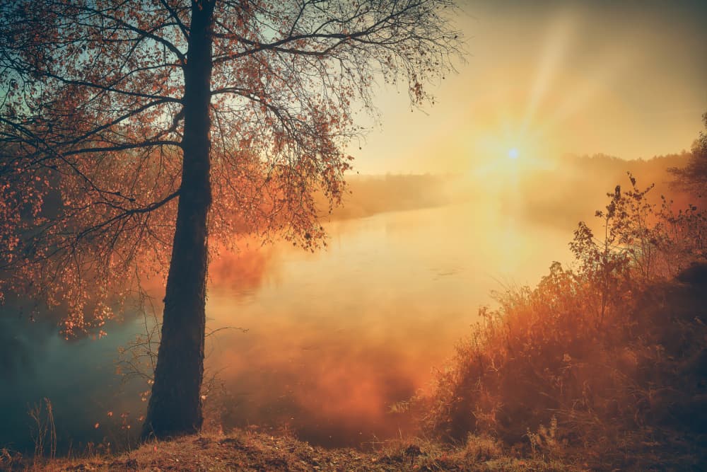 Golden Morning Mist by Pawel Kado — canvas wall art