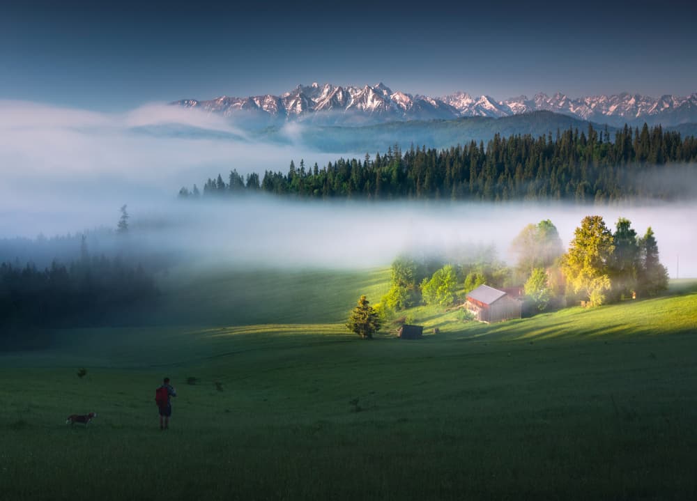 Misty Mountain Morning by Karol Nienartowicz — canvas wall art