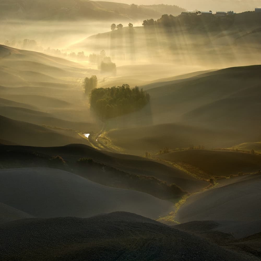 Golden Misty Morning by Adam Pachula — canvas wall art