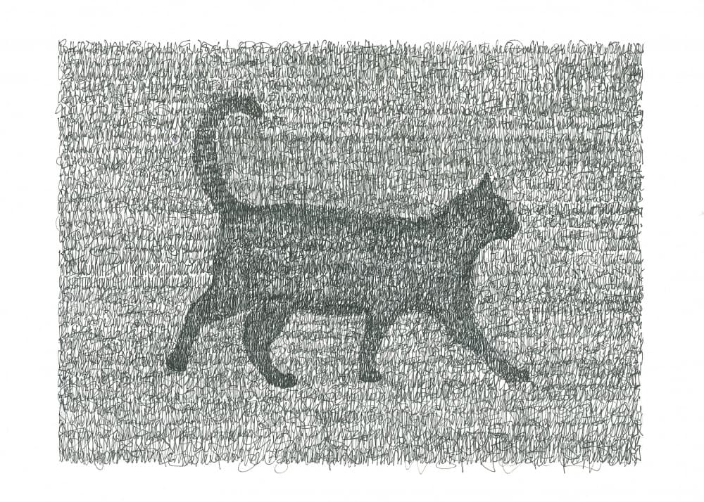 Asemic Cat Story by Isabelle Brent — canvas wall art