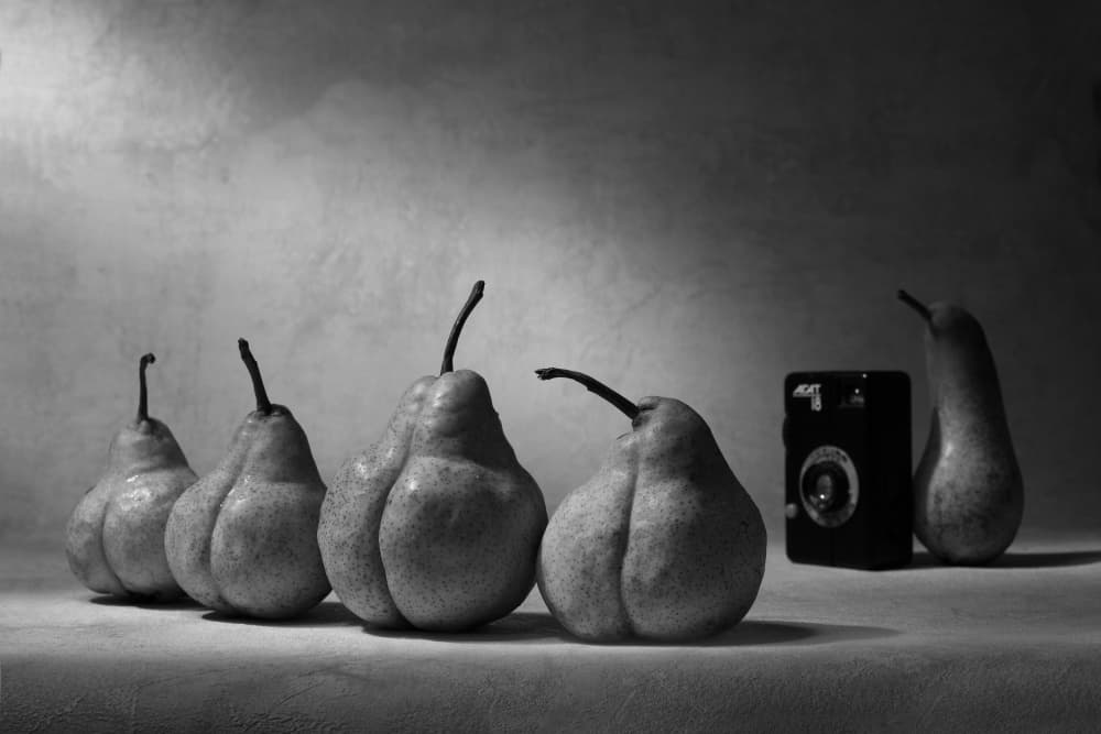 Vintage Pears And Camera by Victoria  Glinka — canvas wall art