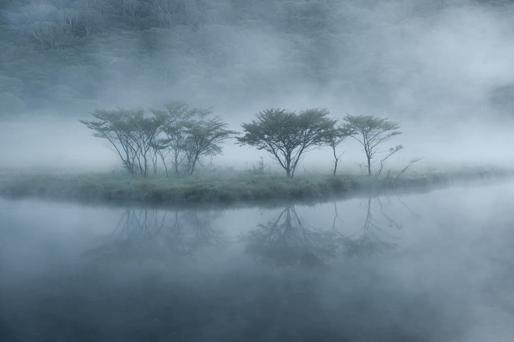 Misty Trees Reflections by Shota Nagase — canvas wall art