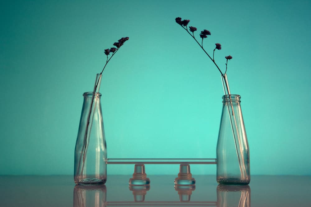 Bottled Stems House by Mihai Bogdan R — canvas wall art