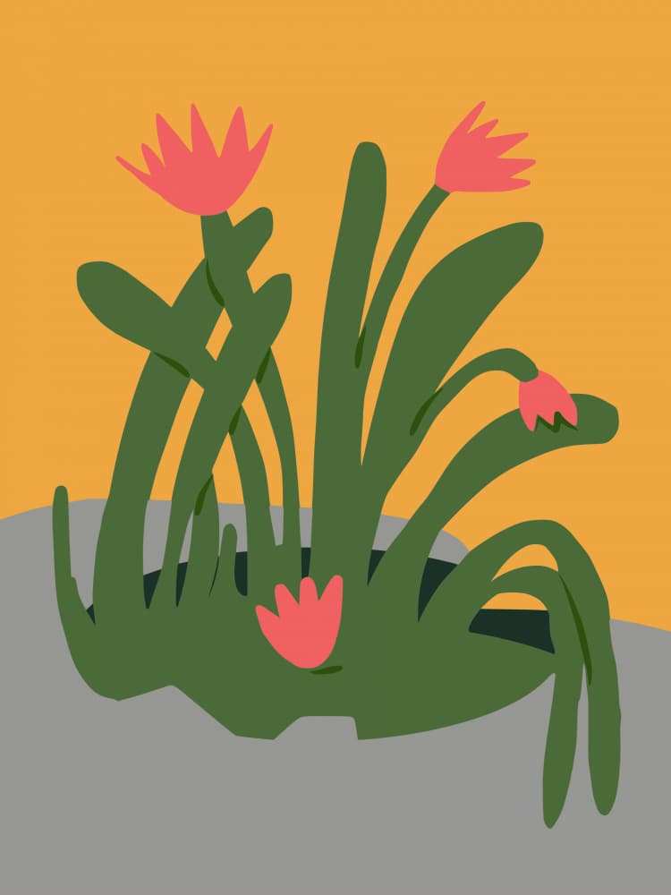 Vibrant Botanical Bloom by Little Dean — canvas wall art
