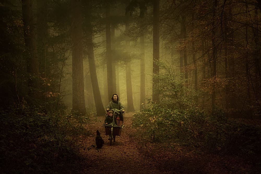 Misty Forest Ride by Saskia Dingemans — canvas wall art
