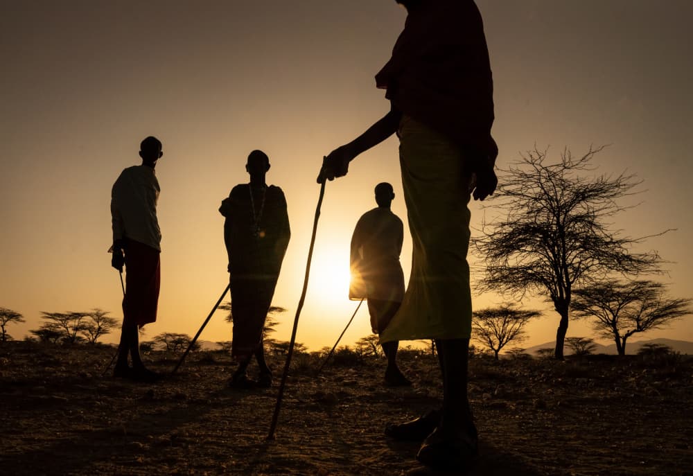 Maasai Sunset Silhouettes by Corinne Spector — canvas wall art