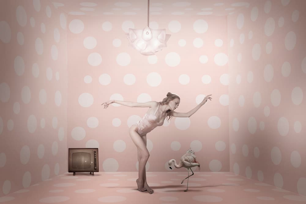 Pink Polka Dot Flamingo Dancer by Christine von Diepenbroek — canvas wall art